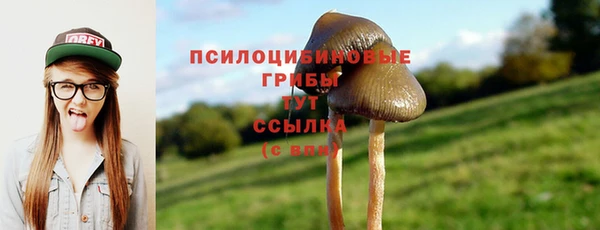 ГАЛЛЮЦИНОГЕННЫЕ ГРИБЫ Приозерск