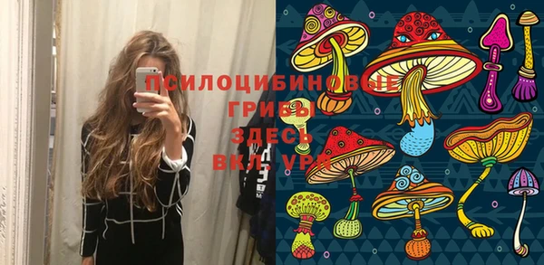 ГАЛЛЮЦИНОГЕННЫЕ ГРИБЫ Приозерск