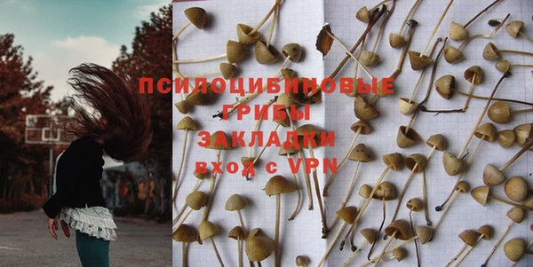 Альфа ПВП Елизово