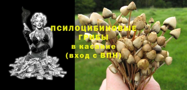 прущая мука Заводоуковск